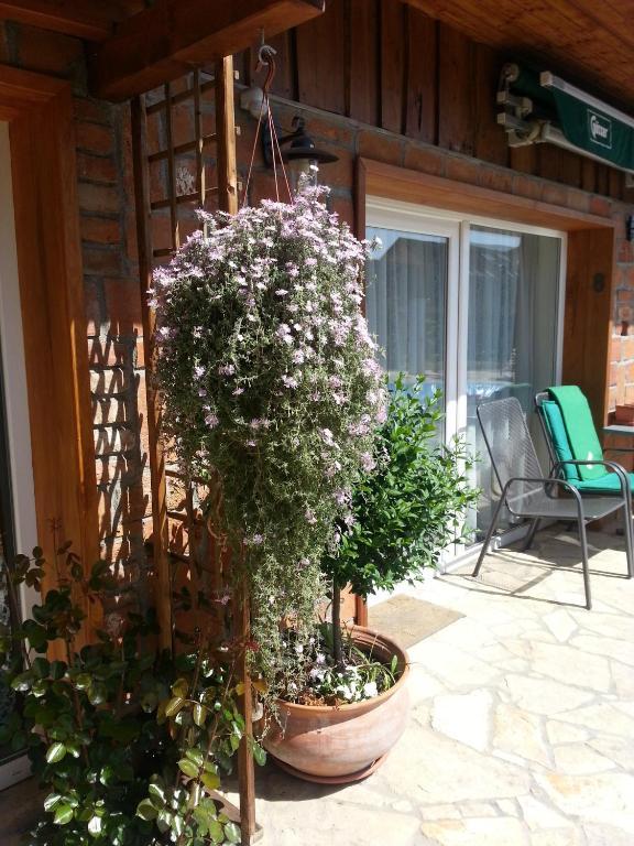 Gasthaus Joó-Wellness Pension Rábapaty Exterior foto